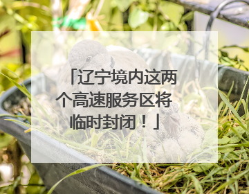 辽宁境内这两个高速服务区将临时封闭！